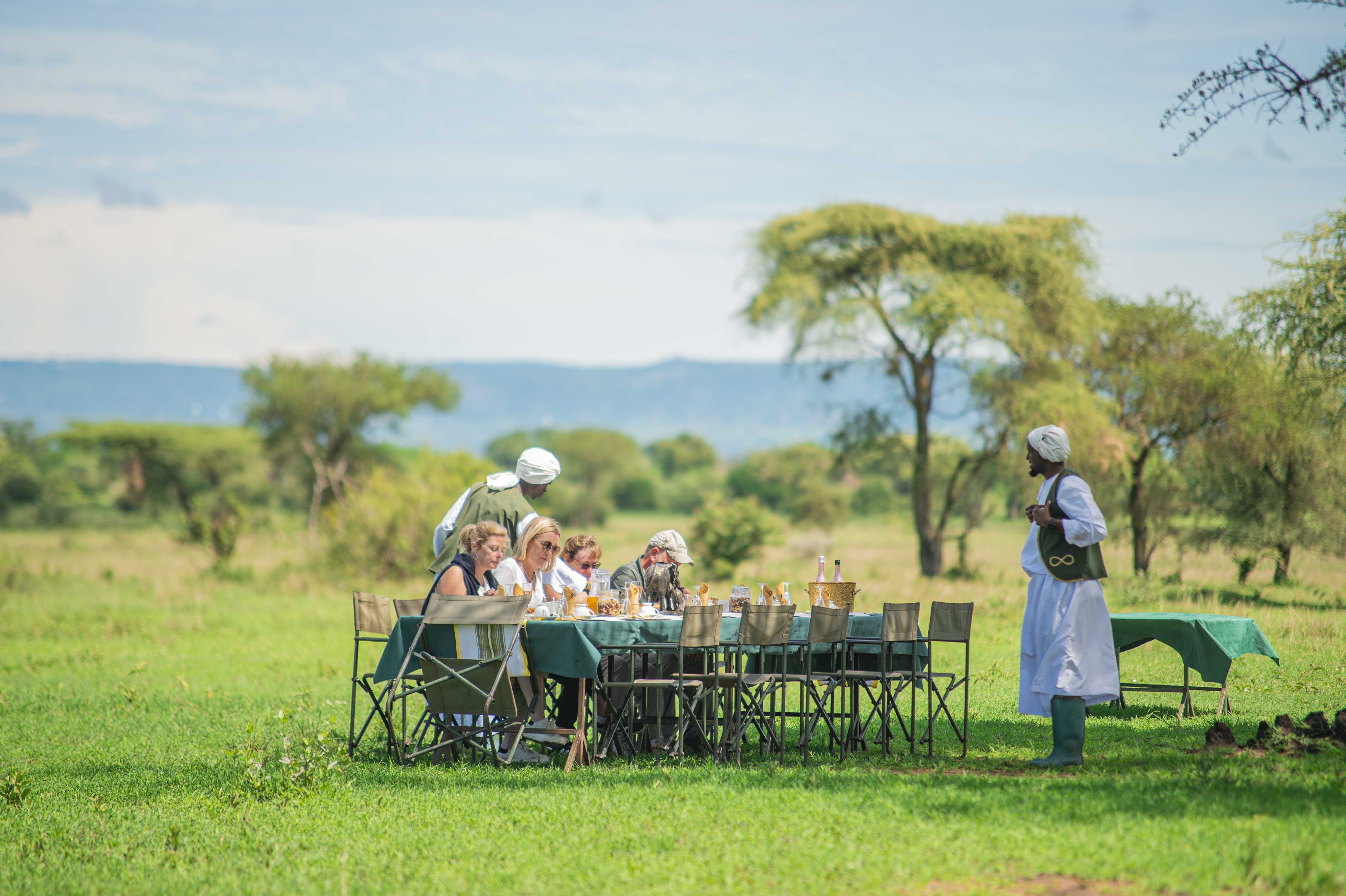 A guest standing among zebras in the bush