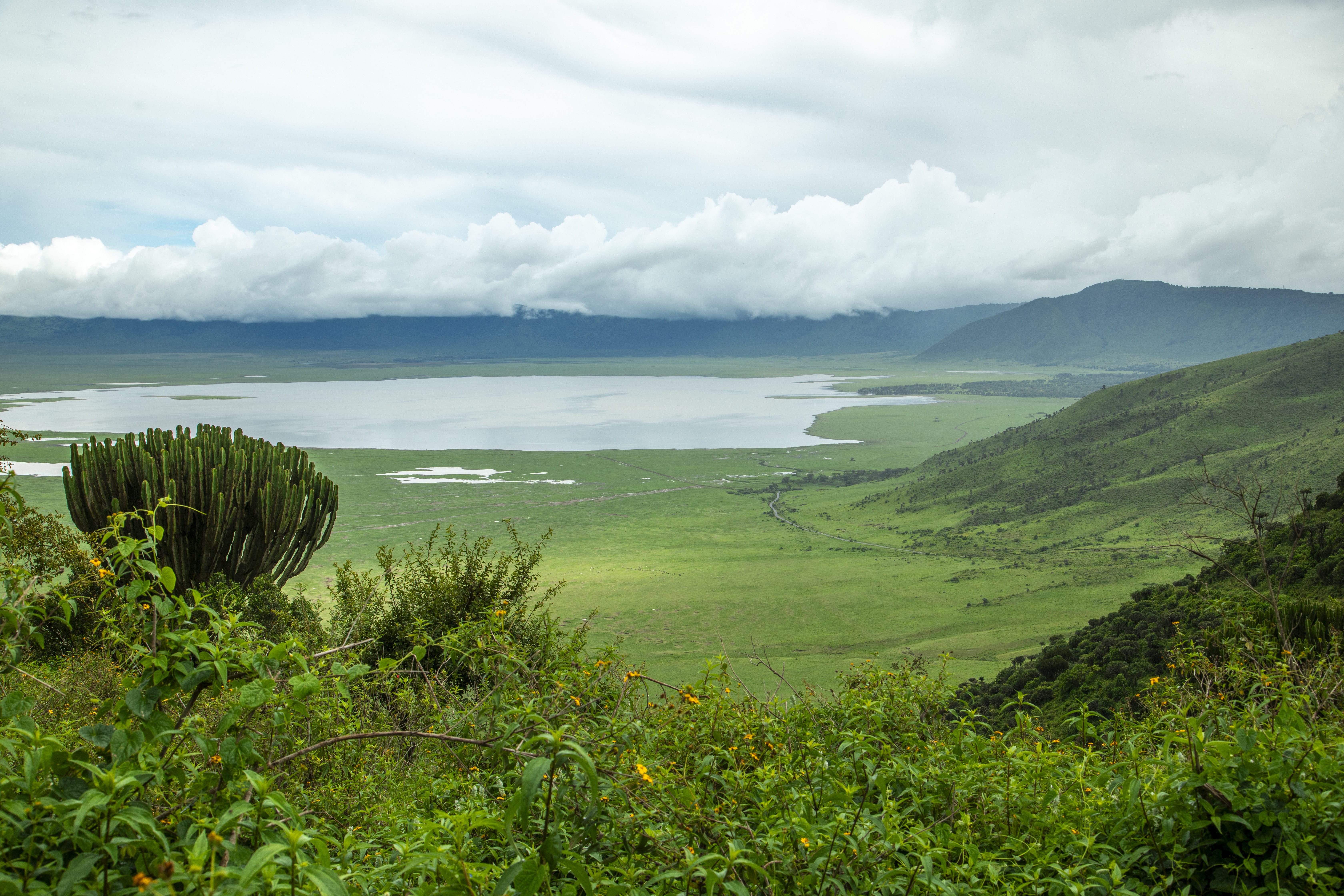 The wildlife-rich floor of the Ngorongoro Crater