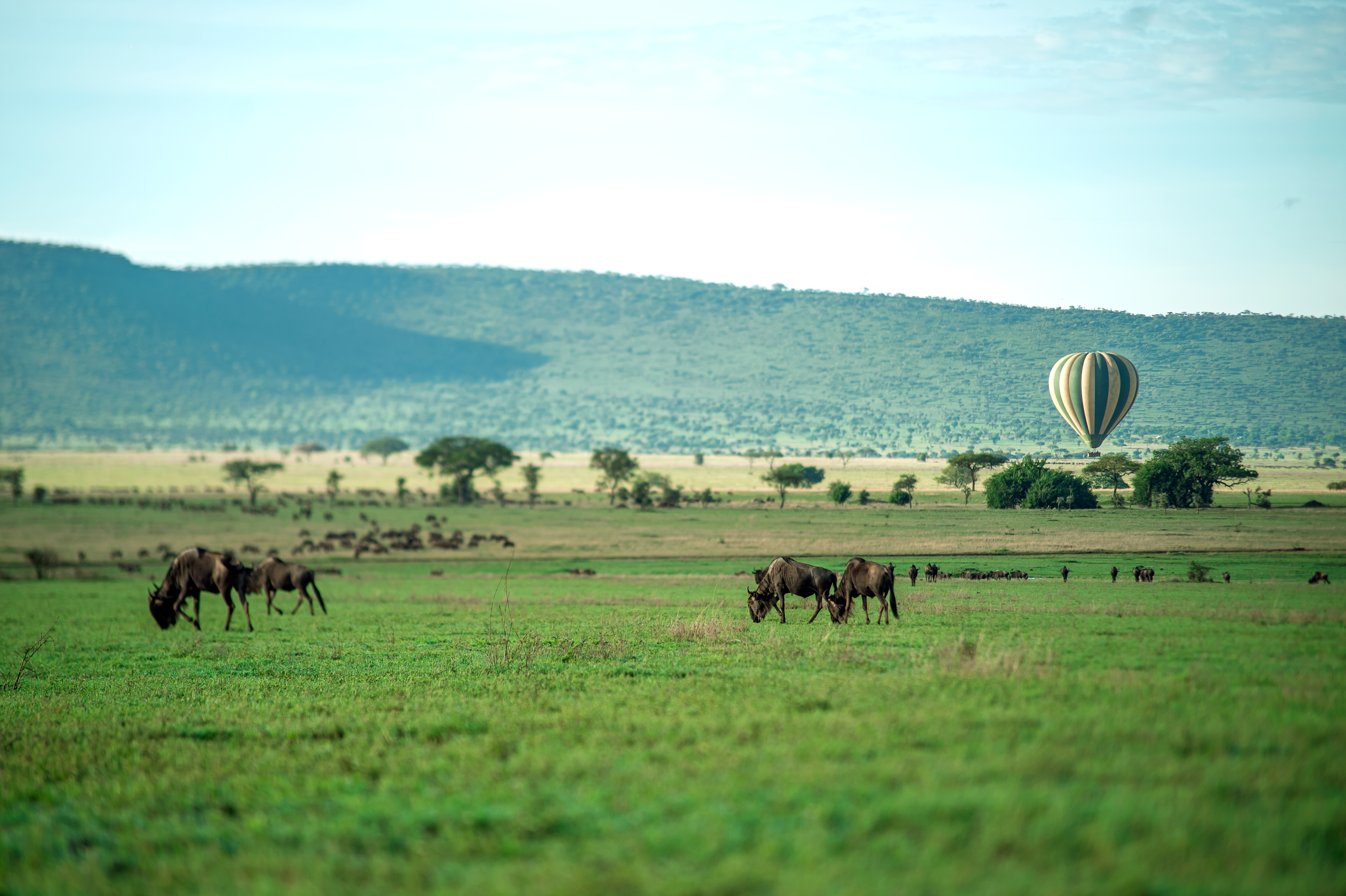 The far-reaching Serengeti plains in Tanzania