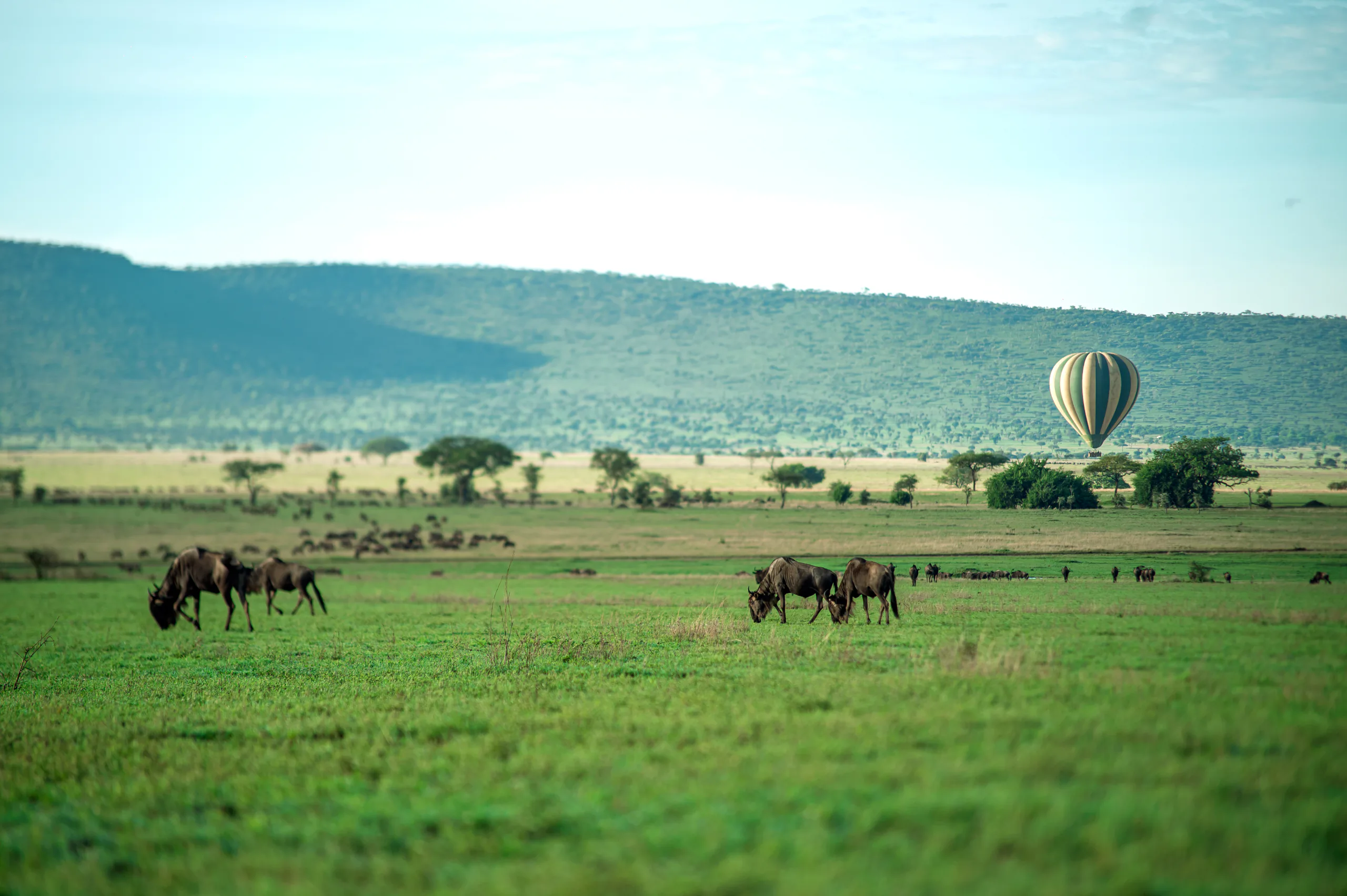 The far-reaching Serengeti plains in Tanzania