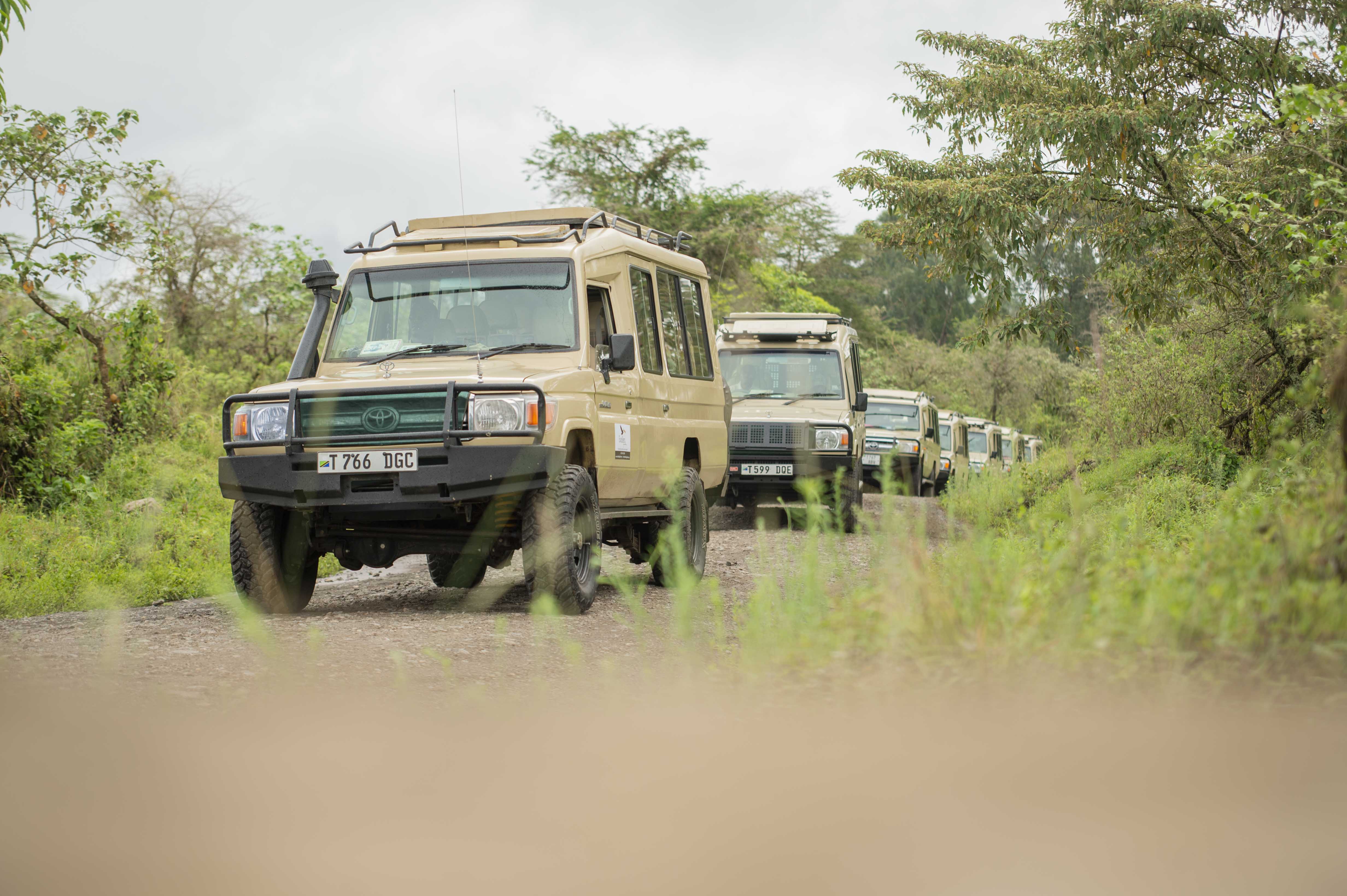 Excellent Guides safari vehicle fleet travelling through a green Tanzania landscape