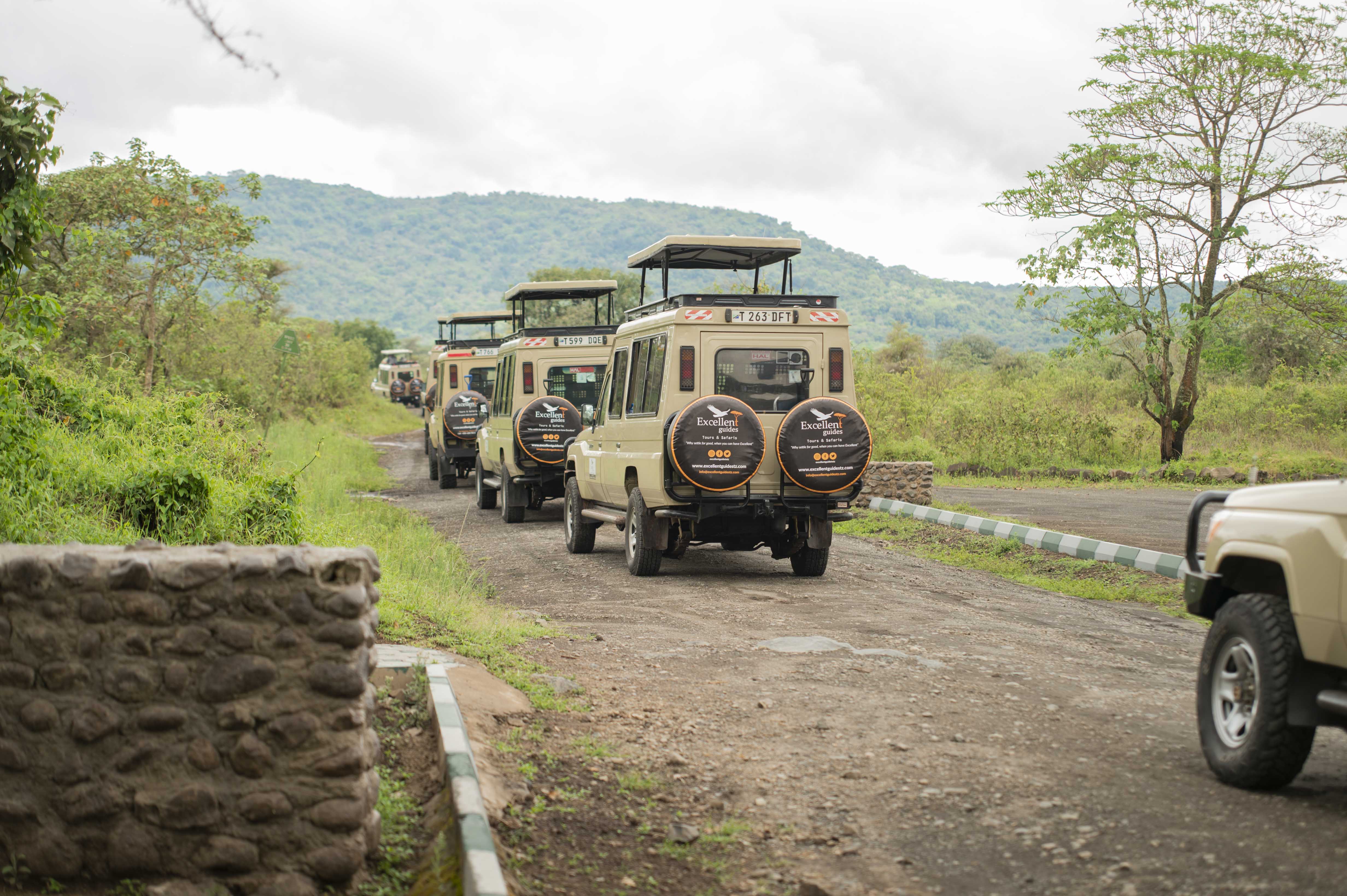 Excellent Guides pop-up roof safari vehicle convoy on the road