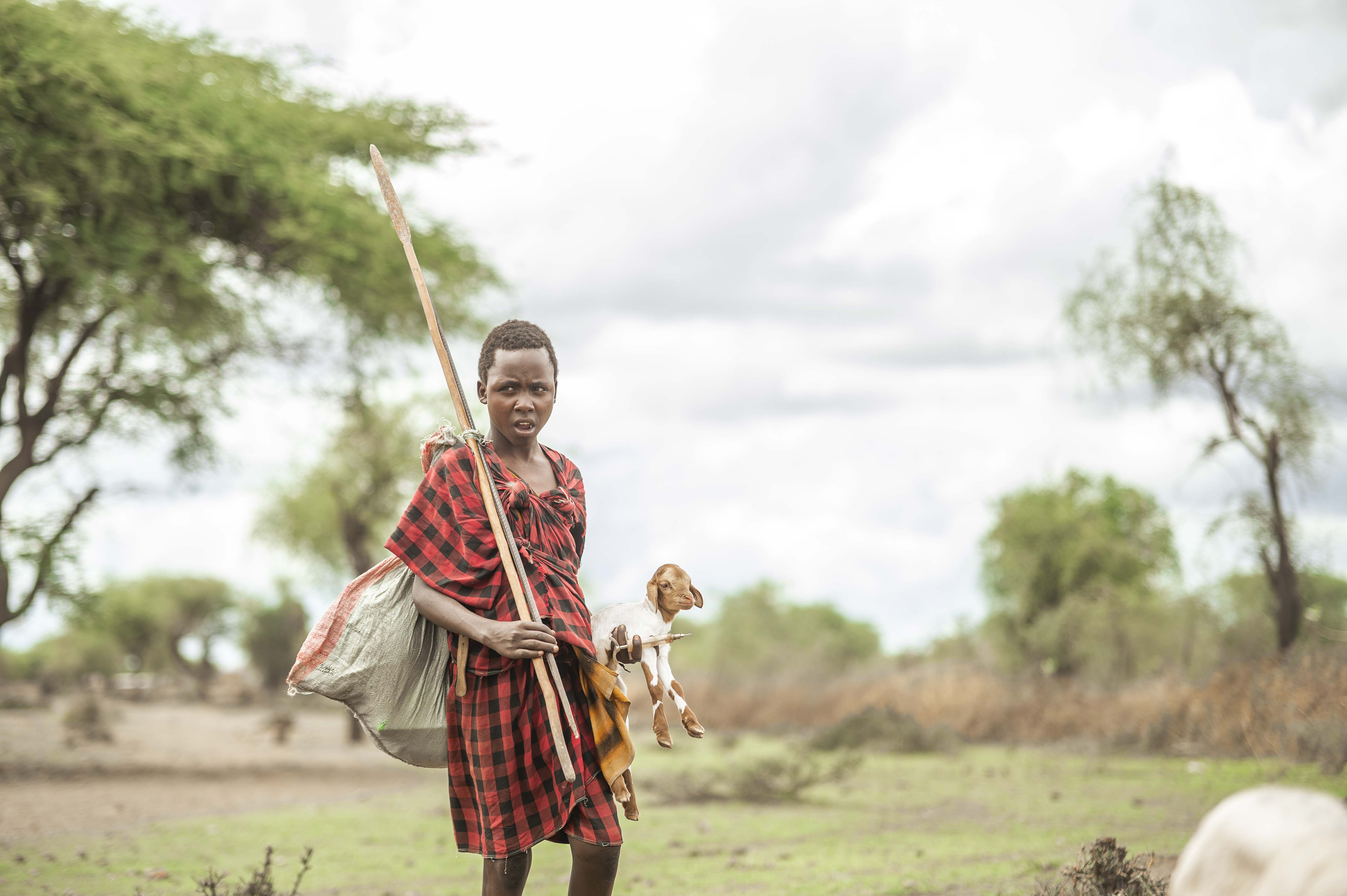 Tree planting and conservation landscapes in Northern Tanzania