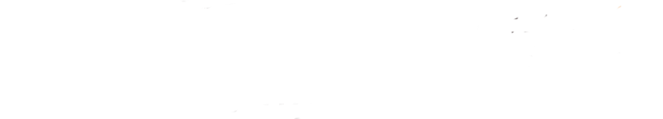Excellent Guides Logo