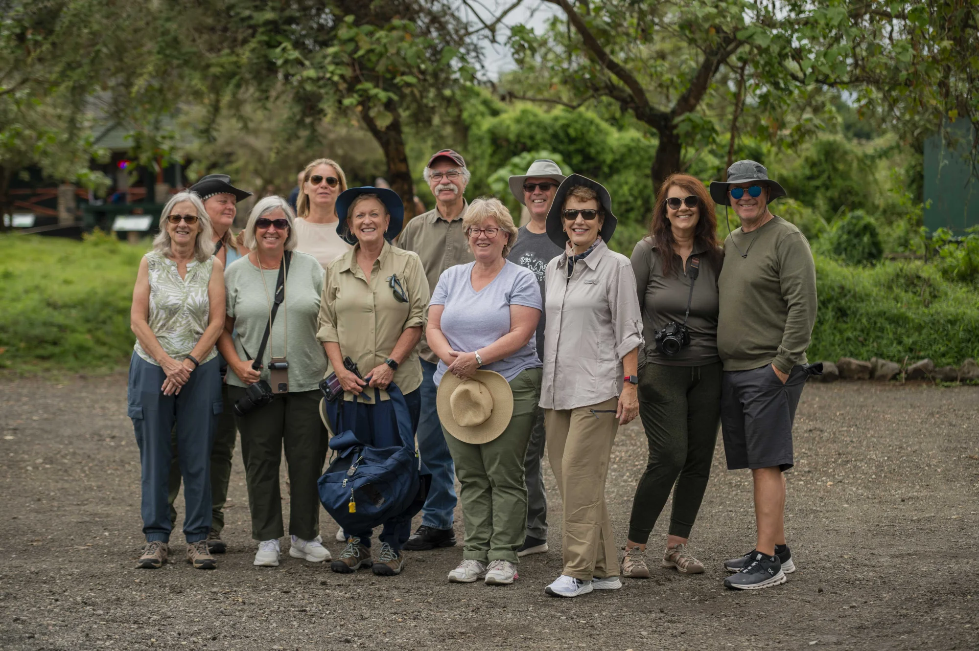 Giraffes and zebras gathered around green shrubs on safari