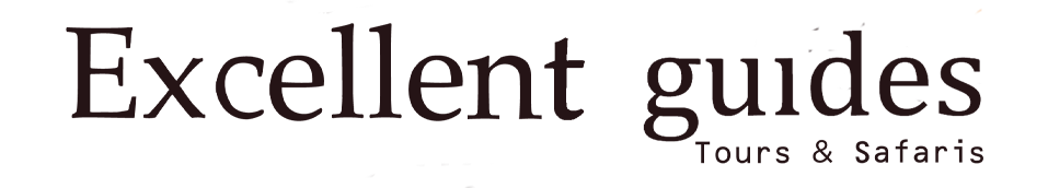 Excellent Guides Logo